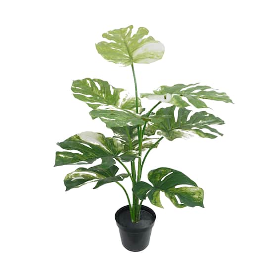 26" Premade Potted Monstera Plant by Ashland®